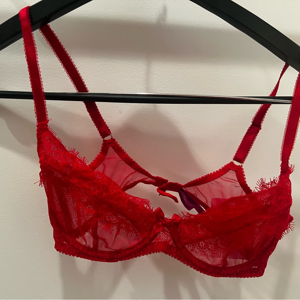 NWT L’Agent by Agent Provocateur Bra and Garter Belt
